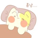 천안미세방충망 이미지