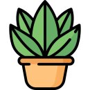 식물안 이미지