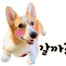 수연살롱