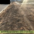 합덕시장 Daum카페