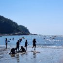 남면 홍현(숙호숲) 화장실 | [공지] 2024년 여름 휴가 휴가지 추천 해수욕장 개장일 폐장일