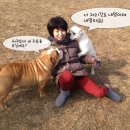 도그피아 이미지