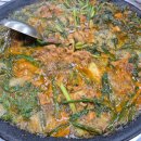 텃밭에노는닭 | 삼척 도계 물닭갈비 맛집 텃밭에노는닭 내돈내산 솔직후기