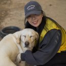 레인보우동물병원 이미지