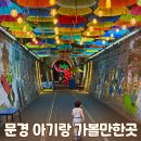 문경자연생태박물관 | 문경 가볼 만한 곳 아기랑 당일치기 문경오미자테마터널 문경자연생태박물관