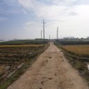 대산면909 이미지