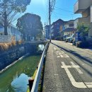 동화카밧데리 이미지