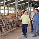 고흥-6호 이미지