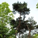 삼오농장 이미지