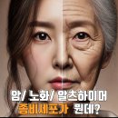 좀비세포(Zombie Cell): 암, 노화, 알츠하이머와 연관된 세포의 비밀 이미지