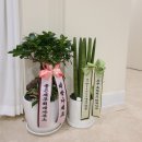 디와이핏 DYFIT 이미지