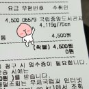 병아리날다 이미지