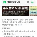 중앙시장 | (일상) 설 명절맞이 재래식 시장 "안성 중앙시장" 방문 후기