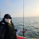 하이필정수기 인천지점 | 인천바다낚시 덕적호 이용 후기, 준비물부터 자리선점, 주차꿀팁까지