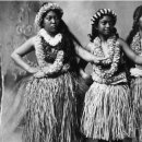 훌라댄스 이미지