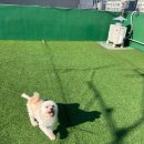 멍머니 2호점 이미지