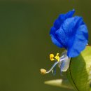 계절이 지나가는 하늘 이미지