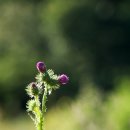 원동재로 이미지