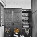 육모정민박 이미지