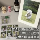 분당 반려동물스튜디오 &#39;스튜디오 천천히&#39; 산책스냅 솔직 후기