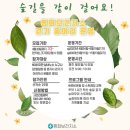 평화보건지소 이미지