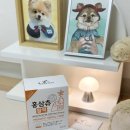 가천의대 내 | 보약먹는강아지 강아지덴탈껌 [홍삼츄활력]