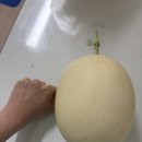 파리바게뜨성성하나로마트점 | 2026년 5월 25일 천안 수신메론 하나로마트 성성점 가격, 맛, 먹는법, 후숙방법 (천안농협불당점) +4일...