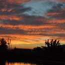 새마을낚시터 이미지