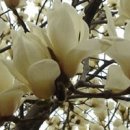 (주)원익 이미지