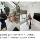 꿈길유치원 | 이제아아없이는못사는거야난어른이된거시야