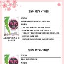 일본어기초 이미지