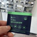 에고랩스 | 30대종합비타민 섭취후기 완전 추천
