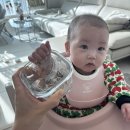 코코호도 의왕내손점 | 7개월 아기랑 일상🤍 광명 코스트코, 롯데프리미엄아울렛의왕, 이터스, 군산은파팰리스 ,예산 사과당😍