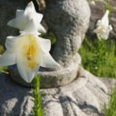 경주남산한의원 이미지