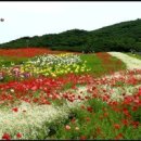 우리꽃자리 이미지