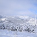 제 557차 평창 선자령 정기산행 안내 이미지