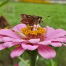 수변연가 이미지