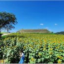 연천 호로고루 이미지