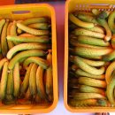 지수농원 이미지