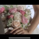 글로우호텔 | [본식 영상 후기] 이브닝글로우 + L65 호텔 컨벤션 후기