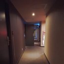 강남모텔 | [강남역] 호캉스겸 시애틀 모텔 방문후기