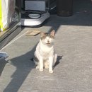 건천해솔지역아동센터 이미지