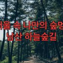 당고개역 북측 | 서울 속 진짜 숲의 쉼표 남산 하늘숲길과 숨은 힐링 스팟 다섯 곳
