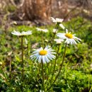 상예입구 이미지