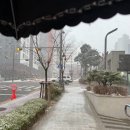 오란다 돈까스 | [일상] 25.3_4(카페포러리, 책추천, 삼척오란다, 그린데이즈, 오오티디, 인챈트미)