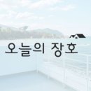 오늘의장호
