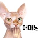 진안여중 이미지