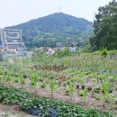 식송농장 네이버블로그
