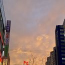 베트남소울 두정점
