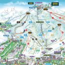 용평리조트 스키장 이미지